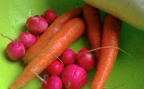 小学生心理健康教案