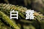白露时节的问候语