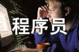 程序员的工作总结
