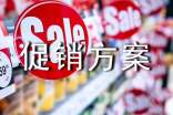 实用的促销方案(精选)