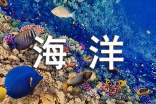 《海洋奇缘》观后感11篇