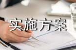 实用的实施方案