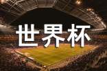 世界杯的观后感