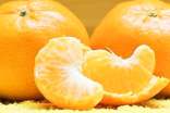 橘子说明文