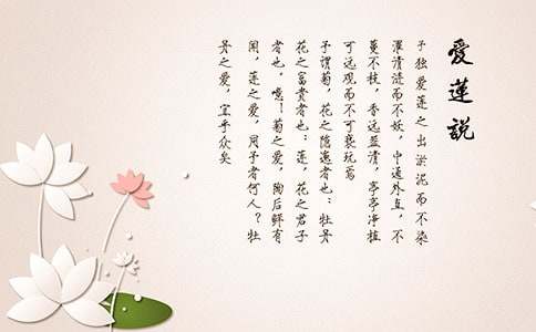 ������˵���̰�