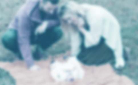 �ְ�������ҵİ����ļ���(16ƪ)