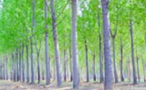 �����š����������300����ƪ