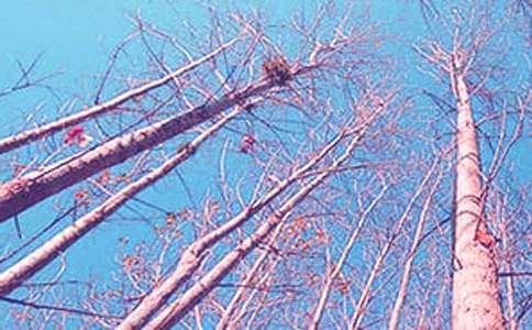 ������̰����ĺϼ�7ƪ