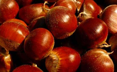 ��������500�ֽ�����ƪ