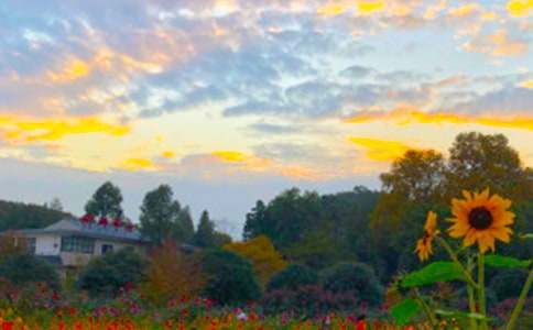 ������������400��