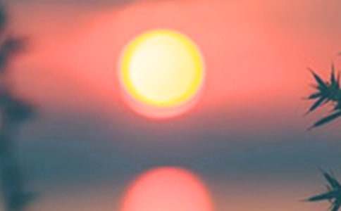 ��ѡ�����������300����ƪ