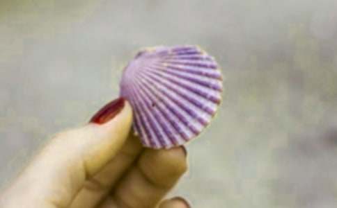 �����ǡ������