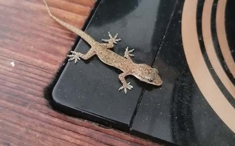 ��С�ڻ���β�͡��̰�