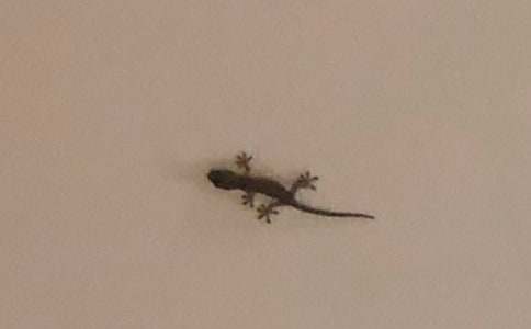 �ڻ�����500�֣�����8ƪ��