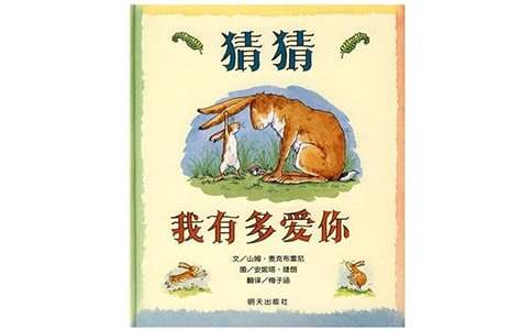 《猜猜我有多爱你》说课稿11篇