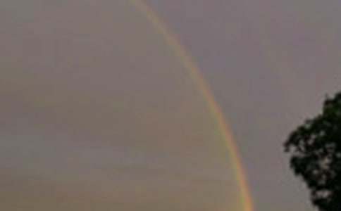 《彩虹的尽头》大班教案