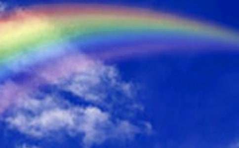 ���ʺ硷�̰�