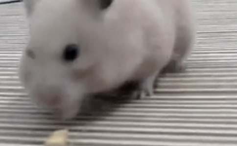 ���������600�֡����㡿