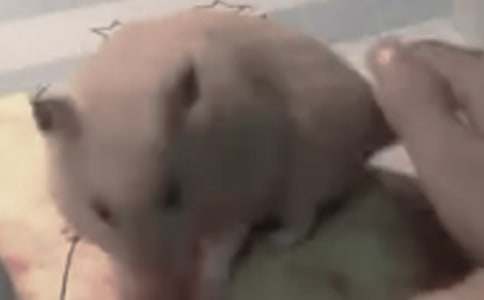 С����������Ļ��10ƪ