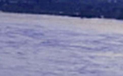 ��д����������300����ƪ