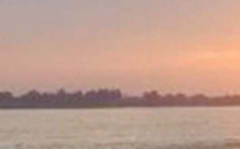 ����ѡ����д����������300��4ƪ