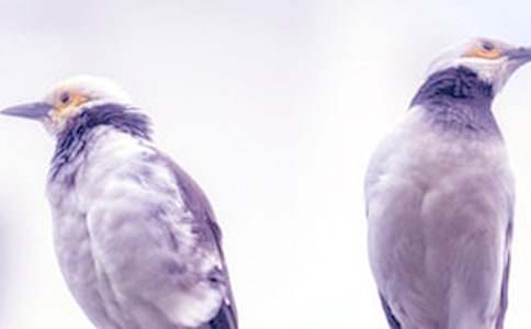 Ա������ͨ��