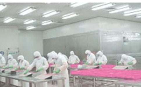 ���乤���ƻ�