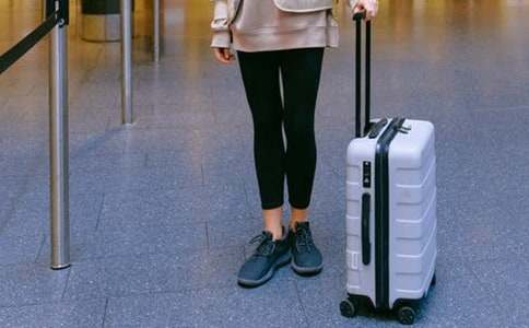 ��������ƻ�����