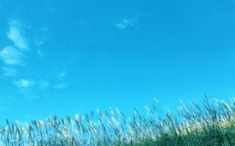 ʵ�õĴ�������600��(�Ƽ�)