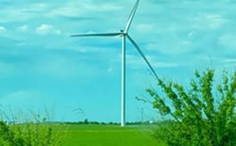 ��������600��3ƪ����ѡ��