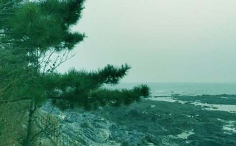 ��һ�ƴ�������600��