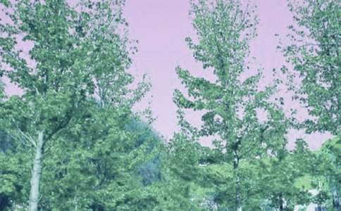 (��)����ʮ�ﲻ��������500��