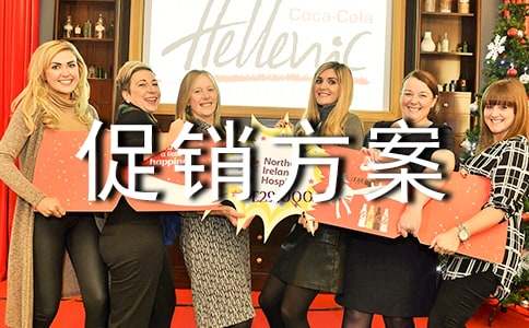 (热门)有关促销方案范文