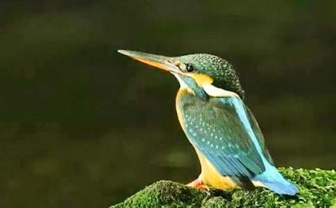 ���ڴ���̰�ģ����ܾ�ƪ