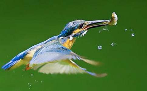 �����񡷽�ѧ��˼ 15ƪ