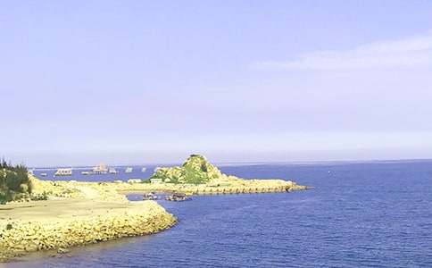 (�ر�)�Ұ�������