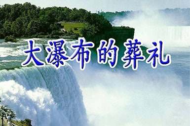 ���ٲ�����������