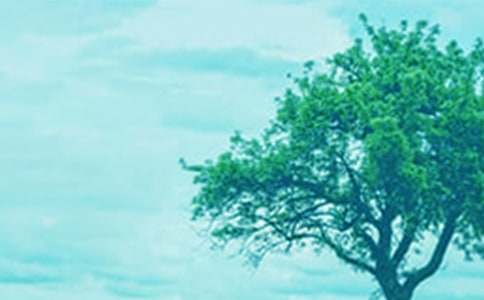 ����ѧ�������м��꡷�̰�