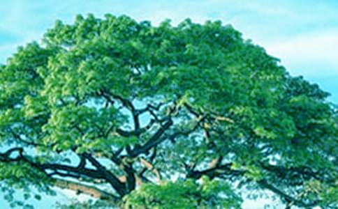 �Ұ�����������6ƪ(����)