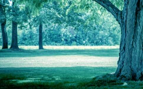 ����������300��(����)