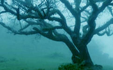 ������С������800��