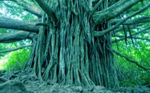 �����еĴ�������600��(����)