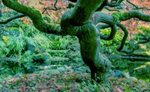 ��ѡ����������400��4ƪ