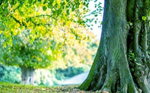 ����������600��8ƪ����ѡ��