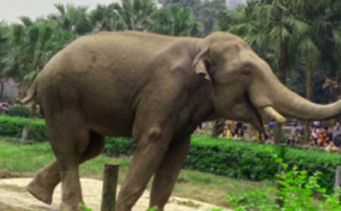 �Ұ����������ͨ�á�16ƪ��