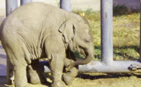 ��ϲ����С�����Ǵ�������