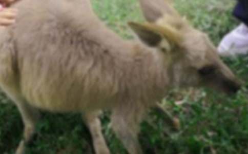 ��������400��