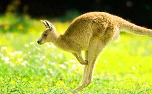 ���������˵��������