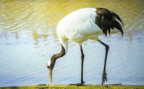 ����������600�֡���Ʒ15ƪ��