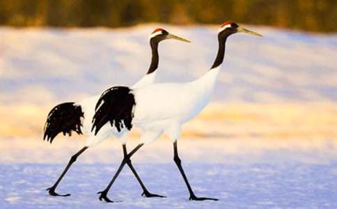 [ͨ��]����������600��15ƪ